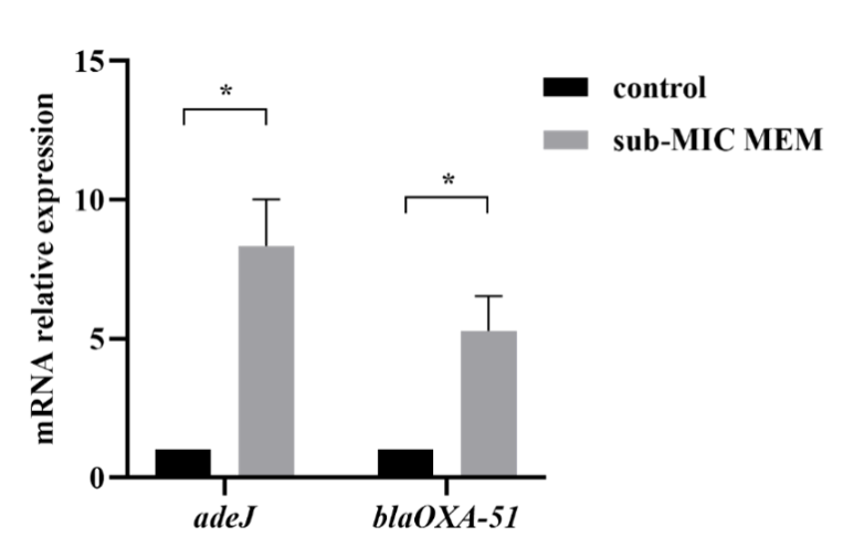 8.png